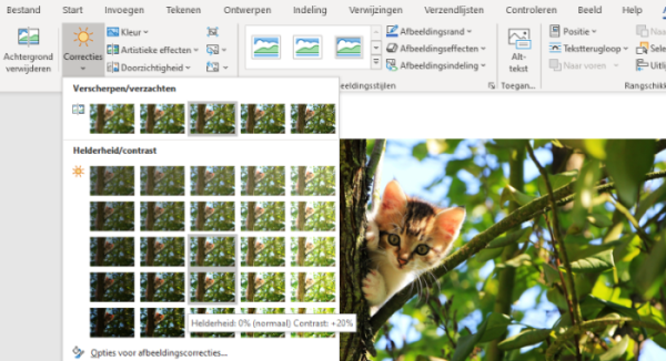 afbeelding in word correcties